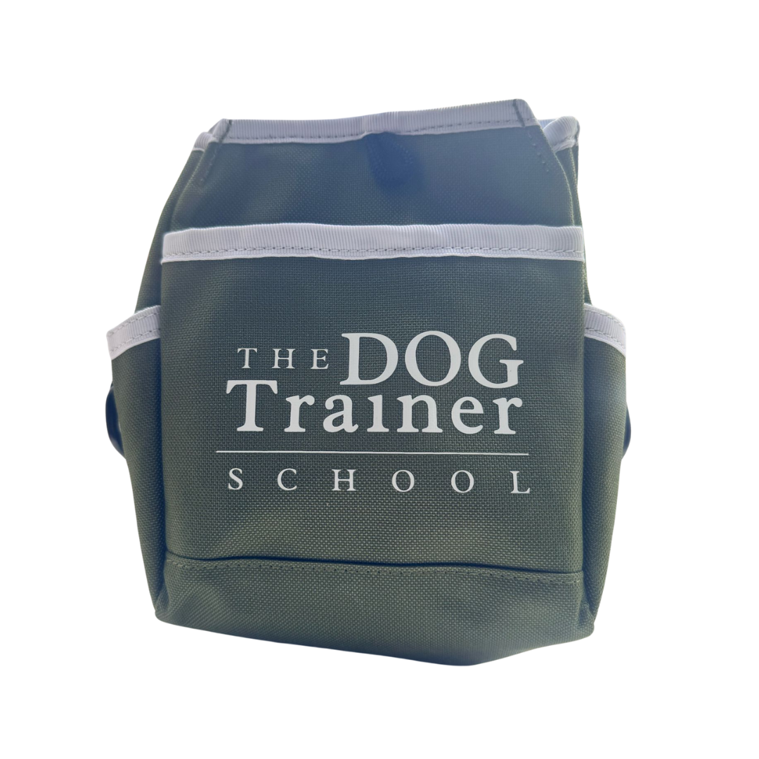 Store The Dog Trainer School